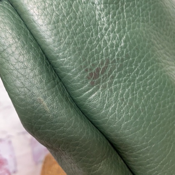 Dooney & Bourke large green hobo purse - Picture 7 of 11